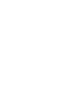 Logo BlackPitbull